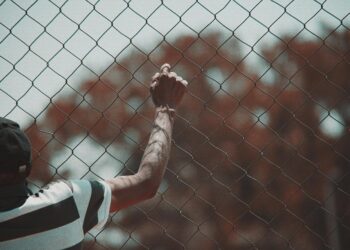 Државата троши повеќе за затворска храна отколку за студентски оброци: 77 милиони за затворениците, 22 за студентите