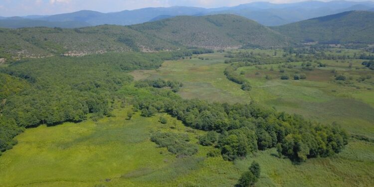 Започна постапката за прогласување на Белчишко Блато за Парк на природа