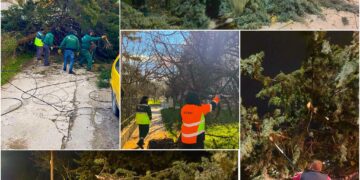 Паднати дрвја и искинати кабли во Скопје поради засилен ветер