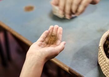 Јужнокорејски научници ја оживејаа ткаенината што ја носеле императорите