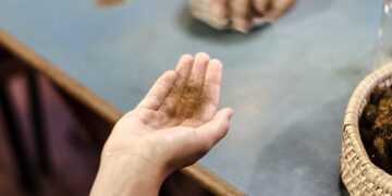 Јужнокорејски научници ја оживејаа ткаенината што ја носеле императорите