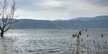 Расте бројот на водни птици на Дојранското Езеро