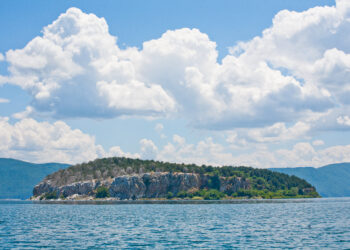 Желките од Преспа пред исчезнување до 2083: Демографскиот јаз што ја разнишува популацијата