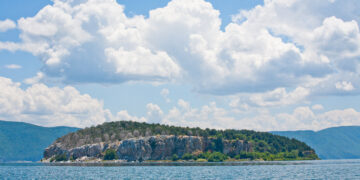 Желките од Преспа пред исчезнување до 2083: Демографскиот јаз што ја разнишува популацијата