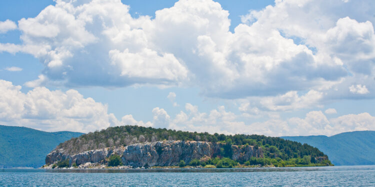 Желките од Преспа пред исчезнување до 2083: Демографскиот јаз што ја разнишува популацијата