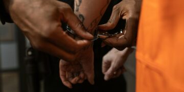 Доживотен затвор за Стојанче Зарков кој ја уби својата 84-годишна мајка во Штип