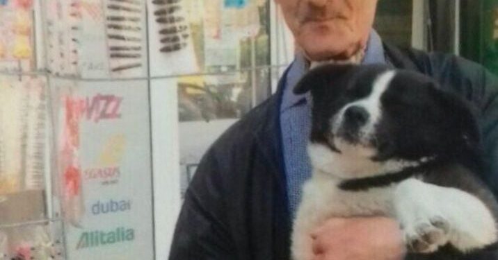 Почина чичко Драги, човекот кој спаси десетина улични кучиња