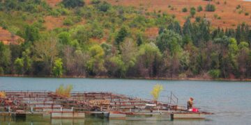 Езерото Младост повторно контаминирано од мртва растителна маса и фекално загадување