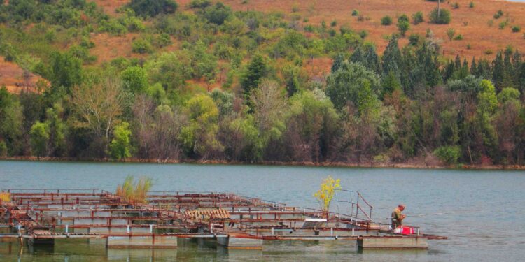 Езерото Младост повторно контаминирано од мртва растителна маса и фекално загадување