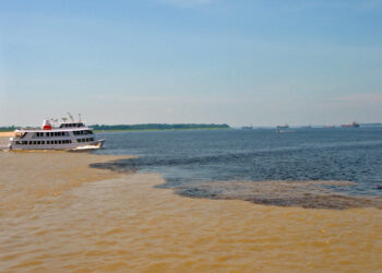 Природен спектакл во Бразил: Кога Црната река и реката Амазон течат една покрај друга