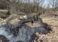Природна нафта на приватен имот во Тузла: Извори што течат три децении без истражување