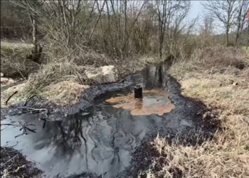 Природна нафта на приватен имот во Тузла: Извори што течат три децении без истражување
