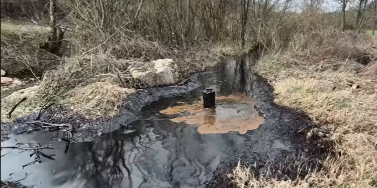 Природна нафта на приватен имот во Тузла: Извори што течат три децении без истражување