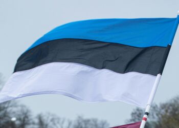 Напад на електрана во Естонија од руско беспилотно летало