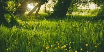 Суво и сончево време со температури до 20 степени