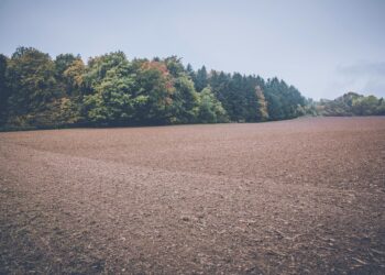 Изнајмување и продажба на обработливо земјиште: Колку чини хектар низ Европа?