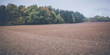 Изнајмување и продажба на обработливо земјиште: Колку чини хектар низ Европа?