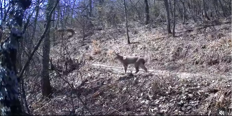 Извор: Screenshot