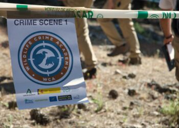 Нов оперативен тим и национален акциски план за заштита на дивите животни во Црна Гора