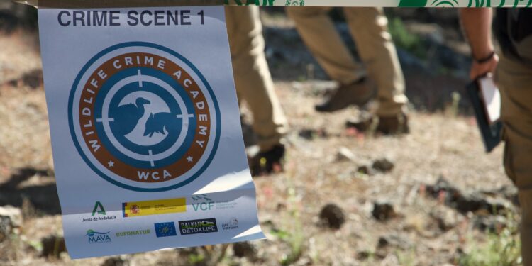 Нов оперативен тим и национален акциски план за заштита на дивите животни во Црна Гора