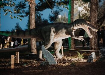 Бесплатен Wi-Fi во Штип: Интернет достапен во Паркот К’ртеќе и Дино Паркот