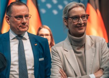 АФД никогаш не биле посилни