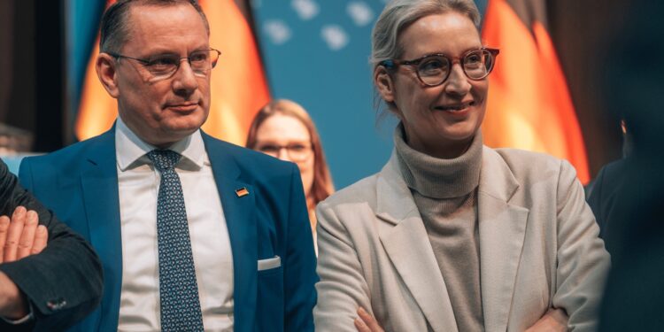 АФД никогаш не биле посилни