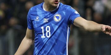 Клучен играч на БиХ ќе го пропушти Мундијалот