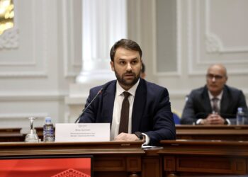 Молк од Тирана и албанската амбасада во Скопје: Дурмиши бара реакција по наводна навреда кон Албанците во Македонија