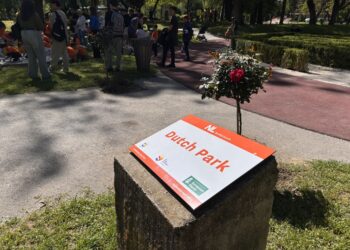 Холандскиот лавиринт во Градски парк разубавен со садници, уметност и еко-акции