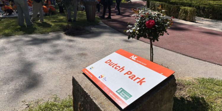 Холандскиот лавиринт во Градски парк разубавен со садници, уметност и еко-акции