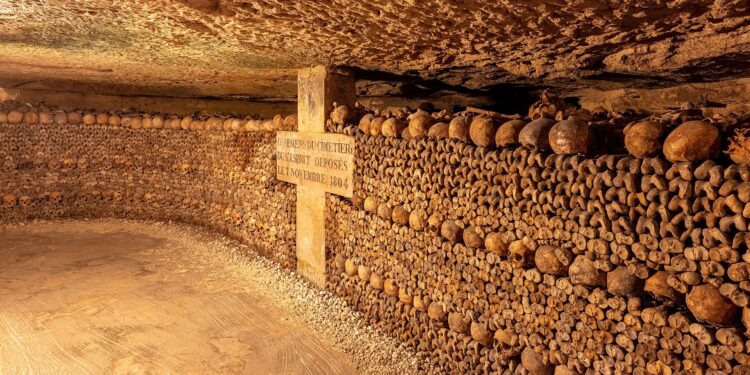 Катакомбите во Париз повторно отворени по пет месеци