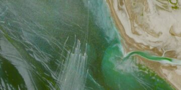 Ова е сателитска снимка од „рој“ брзи ирански воени чамци во Ормутскиот теснец