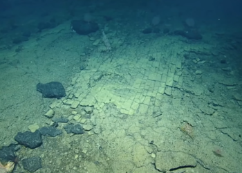 „Патот до Атлантида“ на длабочина од 3.000 метри: Колку малку го познаваме морското дно