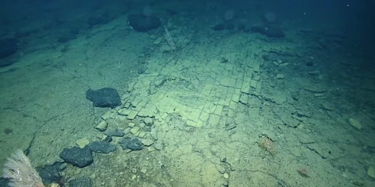 „Патот до Атлантида“ на длабочина од 3.000 метри: Колку малку го познаваме морското дно