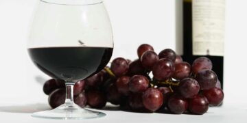 Најубавите вински региони за 2026: Број 1 е вистинско изненадување