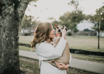 Нови правила за миленици во Бразил: Судот ќе доделува старателство при развод на сопствениците