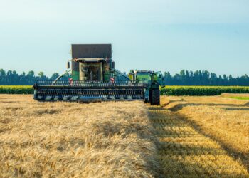 Во Грција доцнат исплатите на земјоделските субвенции: Строгите ЕУ проверки го кочат системот