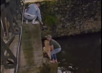 Херојски чин во Битола: Две момчиња влегоа во ледениот Драгор за да спасат куче (ВИДЕО)