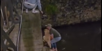 Херојски чин во Битола: Две момчиња влегоа во ледениот Драгор за да спасат куче (ВИДЕО)