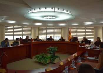Уставниот суд отвора постапки за оценување на закони од повеќе области
