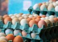 Увозник казнет со 1.400 евра за увоз и обид за препакување јајца како домашни пред Велигден