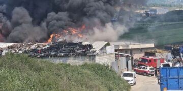 Сè уште е активен пожарот во Визбегово