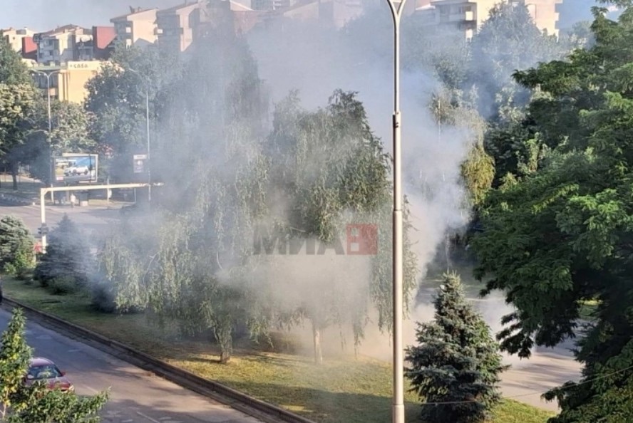Драма на „Јане Сандански“: Автомобил се запали среде сообраќај