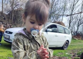 Драгиевиќ ослободен поради недостиг на докази, случајот Данка Илиќ останува отворен