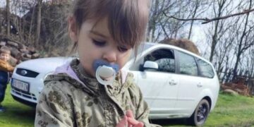 Драгиевиќ ослободен поради недостиг на докази, случајот Данка Илиќ останува отворен