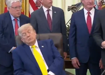 Видео: Трамп дремна на состанок во Белата куќа