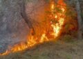Огнена стихија во Албанија: Голем пожар кај Фиер проголта куќи, евакуирани 11 семејства