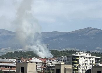 Пожар ја зафати парк-шумата Гази Баба – противпожарните екипи се борат со огнената стихија
