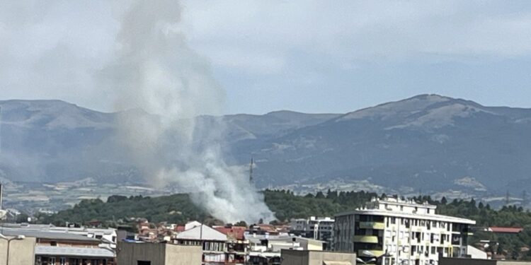 Пожар ја зафати парк-шумата Гази Баба – противпожарните екипи се борат со огнената стихија